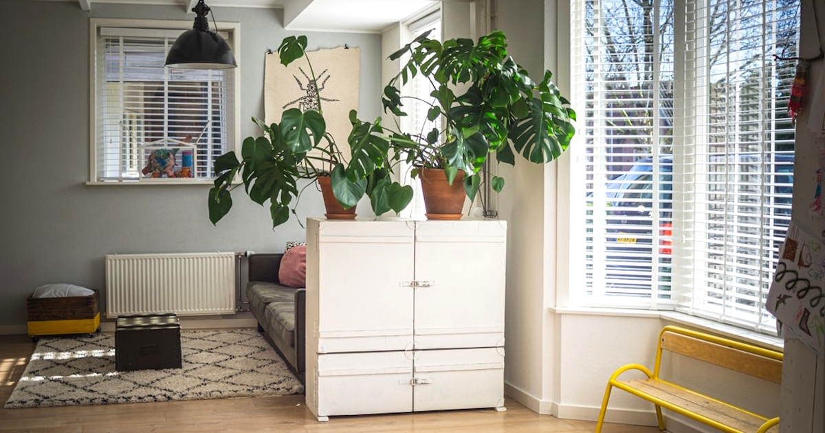 節電だけで年間3万円節約できた。40代が実践した10の節電習慣